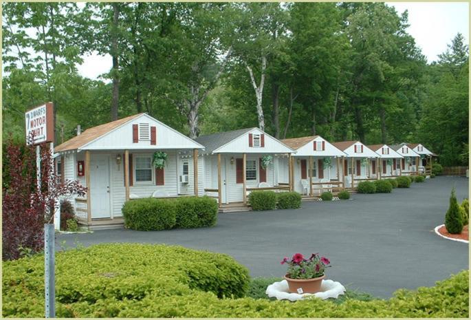 Seven Dwarfs Motel & Cabins بحيرة جورج المظهر الخارجي الصورة