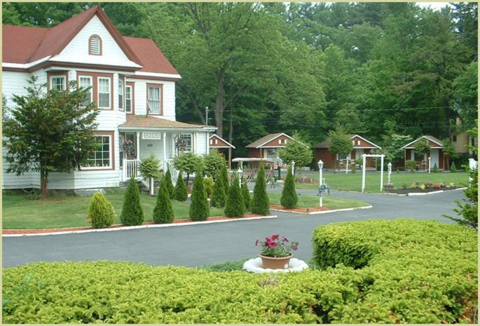 Seven Dwarfs Motel & Cabins بحيرة جورج المظهر الخارجي الصورة
