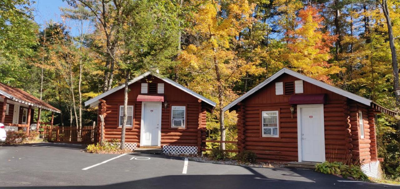 Seven Dwarfs Motel & Cabins بحيرة جورج المظهر الخارجي الصورة