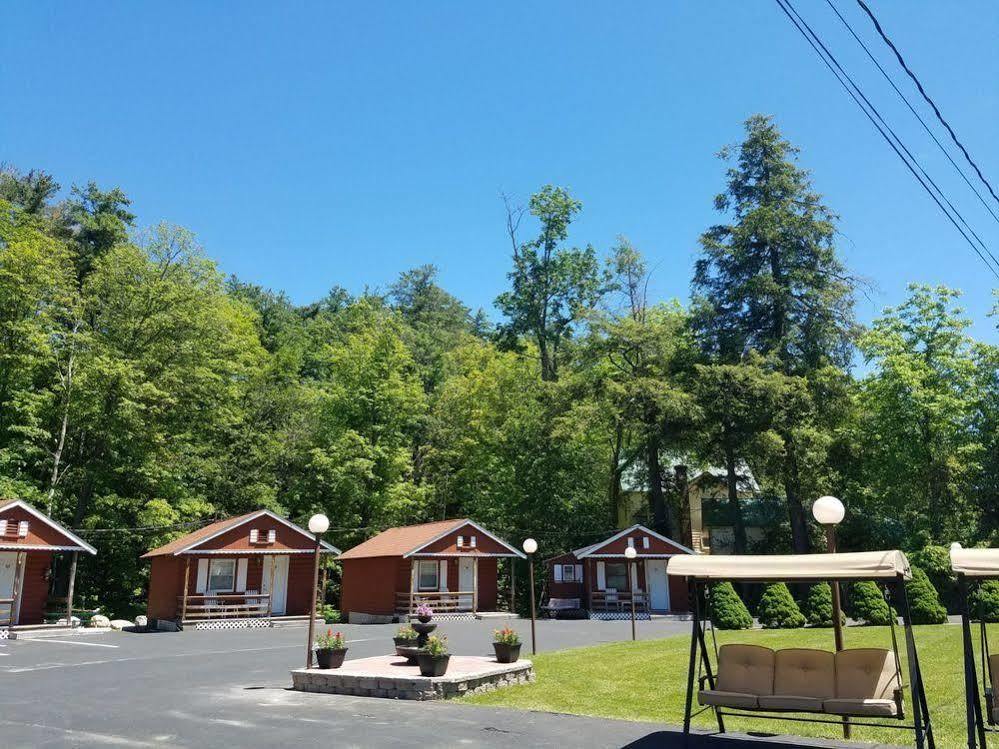 Seven Dwarfs Motel & Cabins بحيرة جورج المظهر الخارجي الصورة